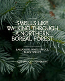 Body Wash Charlevoix Boreal Forest Blend