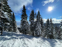 Sans Savon Winter Gift Card